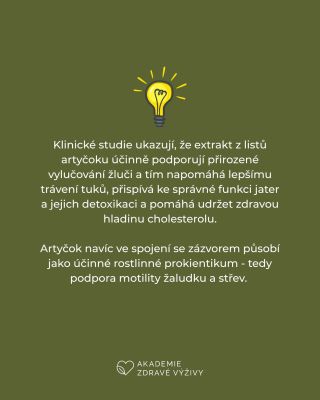 Artyčok může být skvělým spojencem při pomalém trávení, pocitu těžkosti po jídle nebo stagnující žluči. Jeho účinek...