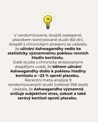 Ašvaganda. Za mě královna 👑mezi adaptogeny, které dnes potřebuje opravdu většina z nás. Právě Ašvaganda byla první bylina...