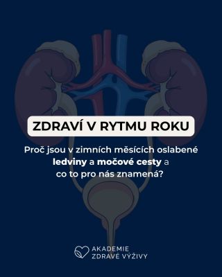 Naladit se na sebe a přírodu v rytmu roku beru jako velmi důležitou součást našeho zdraví a takové zapomenuté umění. Leden...